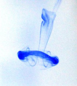Ink droplet flow with jellyfish-like structure