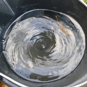 Water vortex in bucket