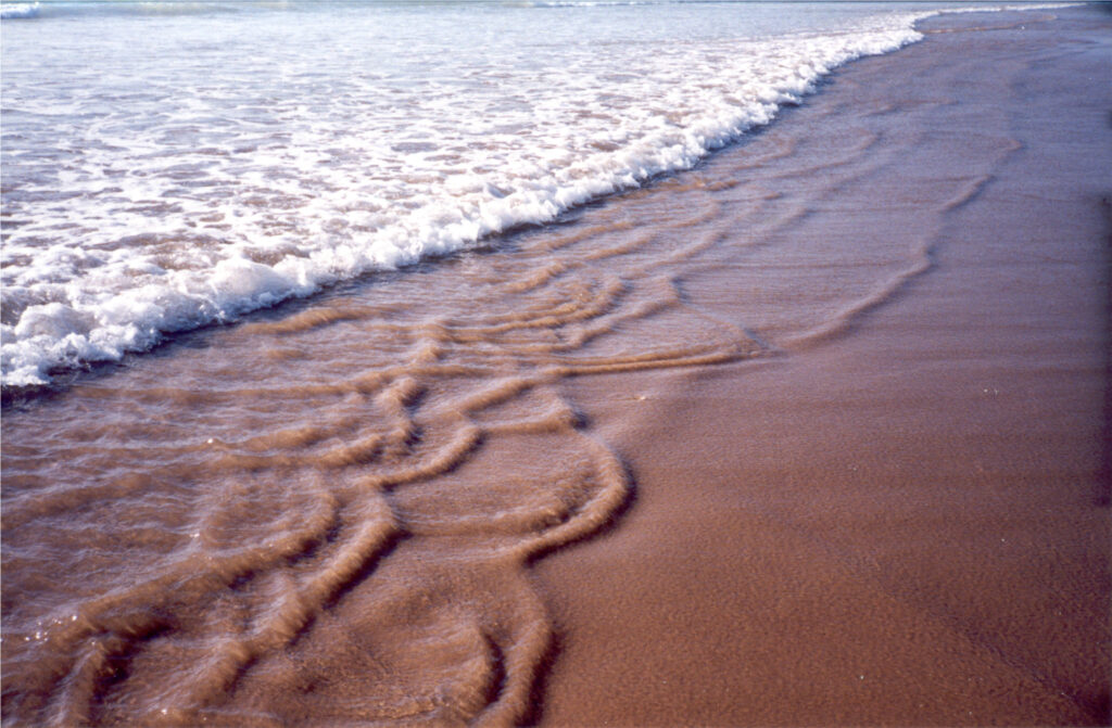 Self-organizing sand-water rolls
