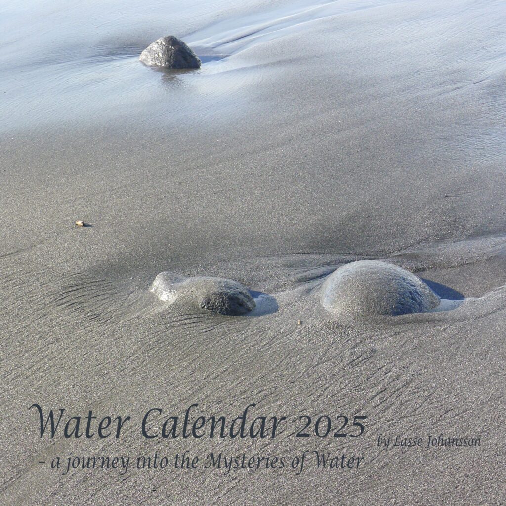 Water Calendar Logo