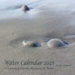 Water Calendar Logo
