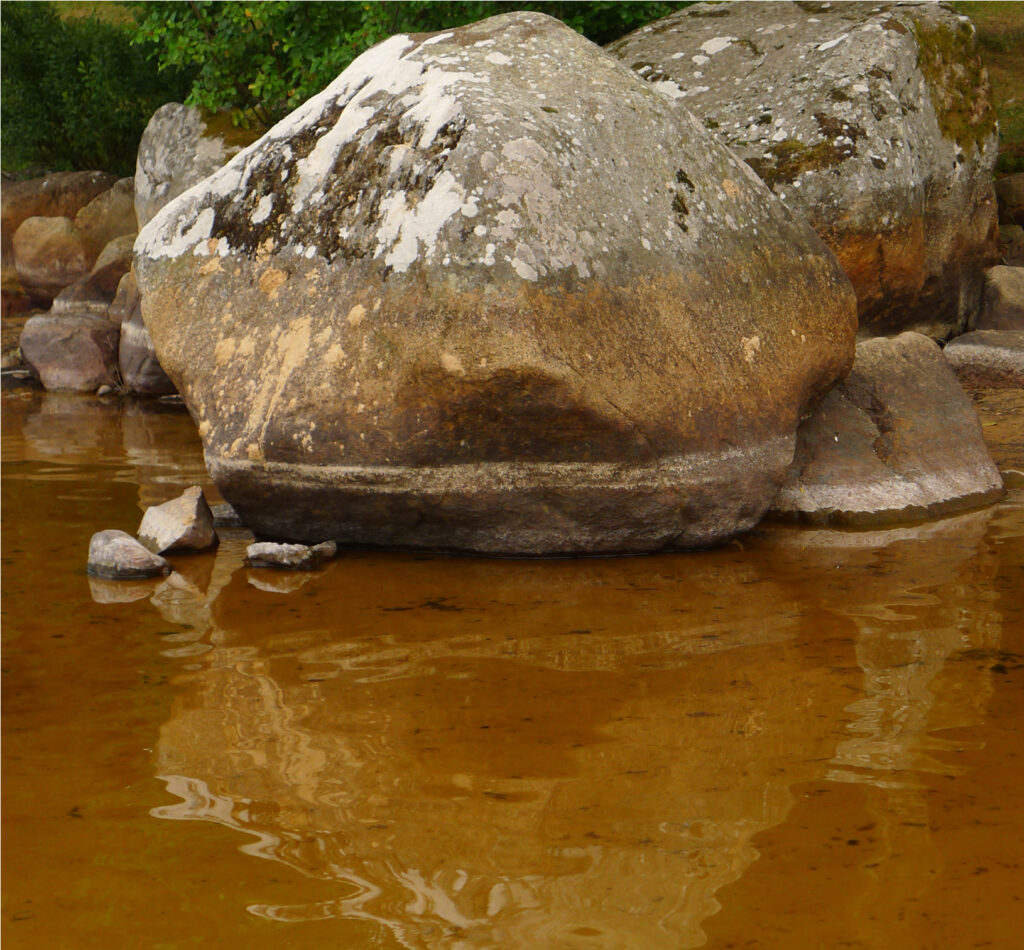Stone resting in 
Lake Mien, Sweden.