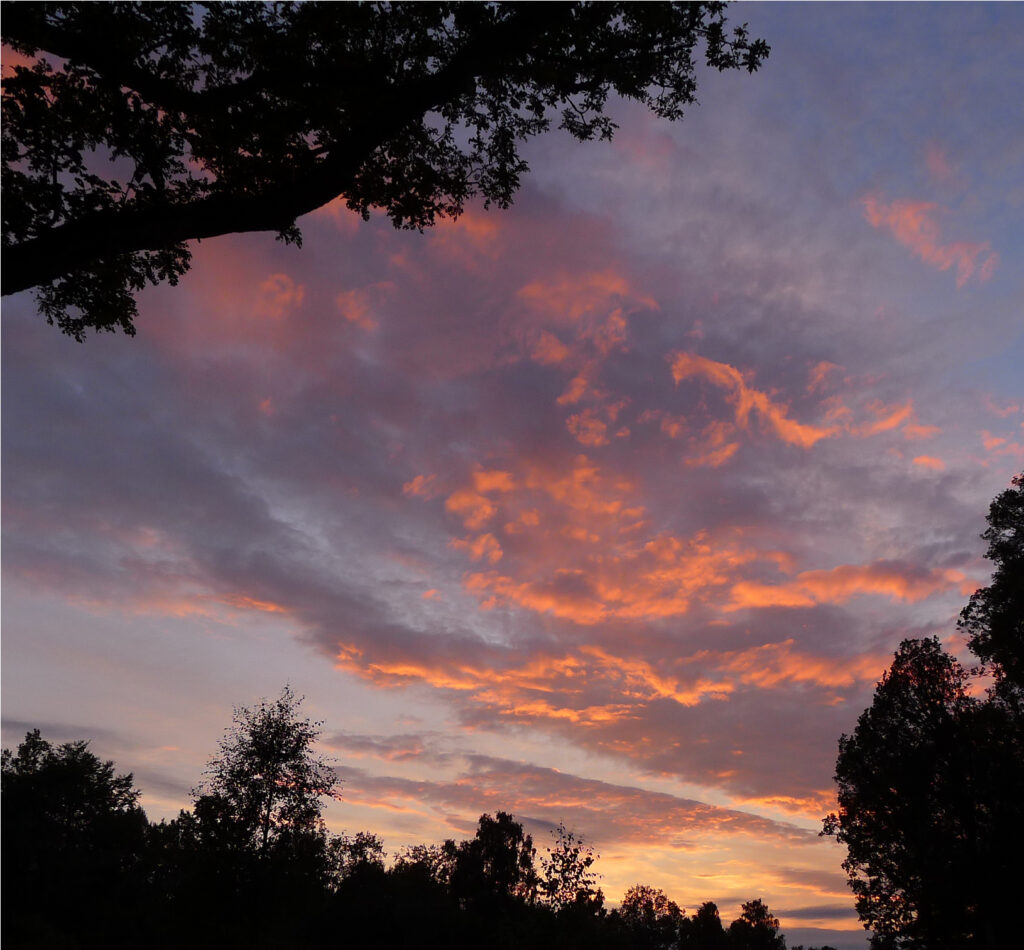 Evening sky at 
Fredensborg, Sweden. 