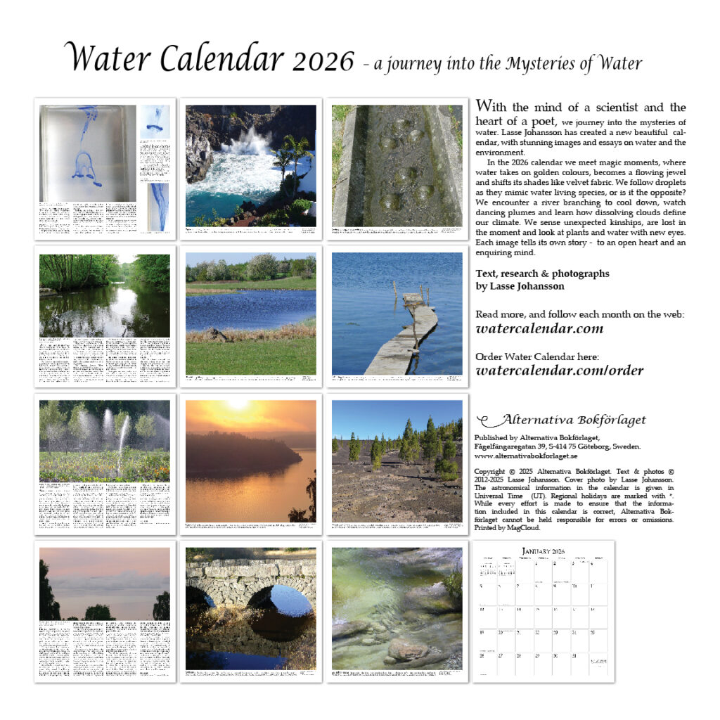Water Calendar 2026 Rear Page